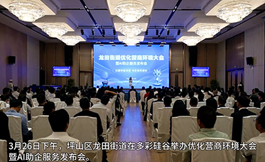 深圳坪山区龙田街道优化营商环境大会暨AI助企服务发布会在多彩硅谷大会堂成功举办